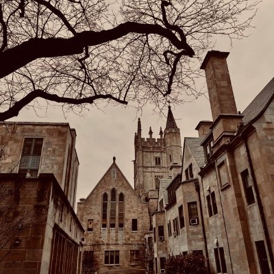 sandy_reads_'s profile picture. i am my greatest enemy