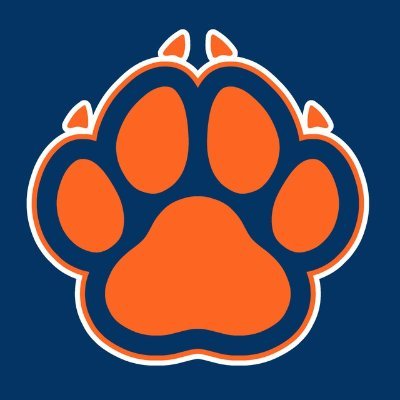 IlliniFurs's profile picture. RSO for furries attending @UofIllinois! We aim to provide a safe and loving community for furries (and even non-furs) on campus!