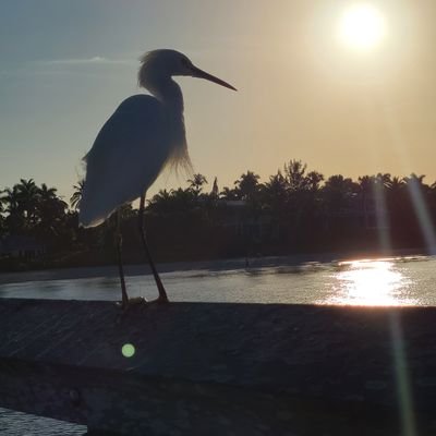 acooter85's profile picture. Retired hot mess living off ice cream bars and coffee with my hamster.