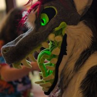 LICK PUSSY NOT BOOTS (@dergdog) 's Twitter Profile Photo LICK PUSSY NOT BOOTS (@dergdog) 's Twitter Profile Photo