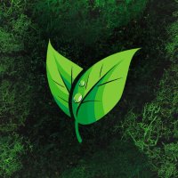 EnviroGreenery(@EnviroGreenery1) 's Twitter Profile Photo