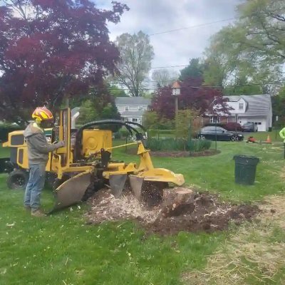 At Ewing Tree Service, we are a professional tree care company located in Ewing, New Jersey. Our services: Tree Removal, Tree Service, Tree Trim, Stump Grinding
