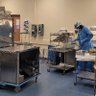 LesleySPD's profile picture. Traveling HLD/Sterile ProcessOR