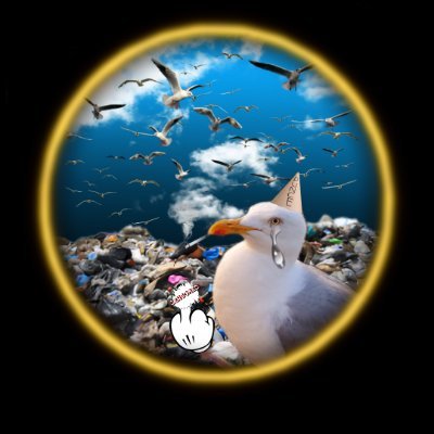 emperorceegle's profile picture. Thank you for flocking to my Nest
