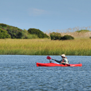 NC State Parks, Recreation and Tourism Management Profile