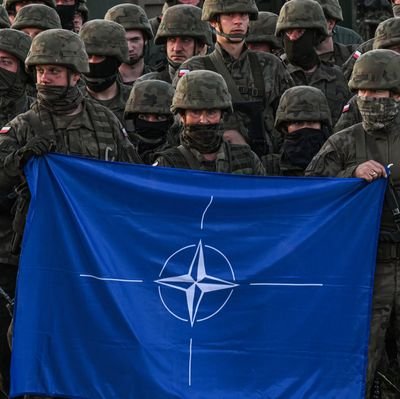 The NATO Report