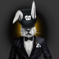 Privateer🐰(@0xPrivateer) 's Twitter Profile Photo