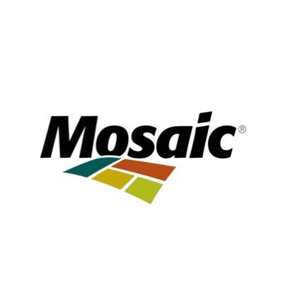 MosaicInFlorida Profile Picture