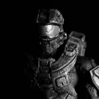Crypt0Chief (@crypt0chief) 's Twitter Profile