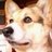 shima1012coro's profile image