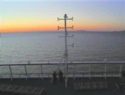 illerobe's profile picture. 