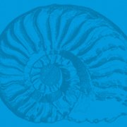 Courtenay Museum (@courtenaymuseum) 's Twitter Profile Photo Courtenay Museum (@courtenaymuseum) 's Twitter Profile Photo