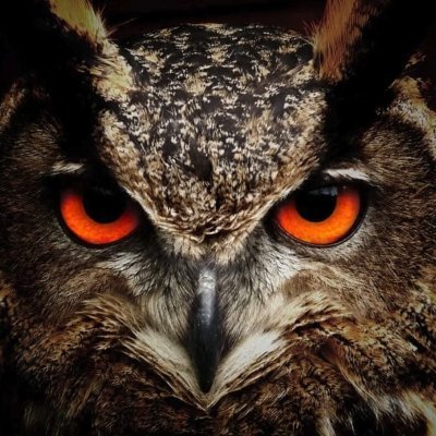 AiGraphics369's profile picture. AIを使った作品を作成しています。無断転載を固く禁じます。