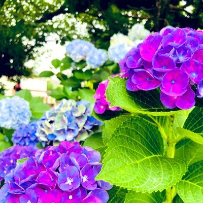 看護師ですが、その時々に合わせてPTRだったり、保育園勤務だったり、相談員だったり。。。からの、訪問看護。