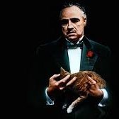 Andrew Philip (@agba_knacker) 's Twitter Profile