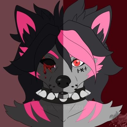 Freddyさんのプロフィール画像