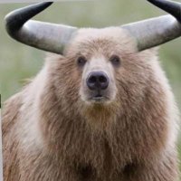 BKrebington (@bkrebington) 's Twitter Profile
