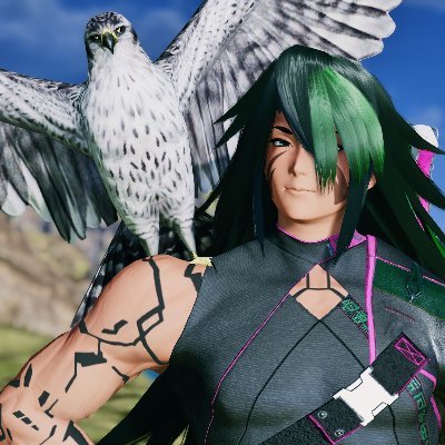 PSO2/NGS Screenshots, OC and NPC Cosplays by @WrathOfKarma. The Flapping Hawk is my Signature! (My OC is Azanami’s Certified Husband)