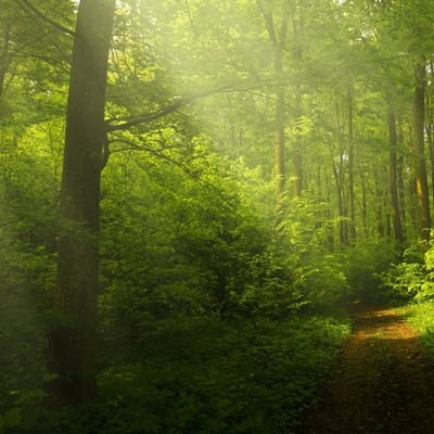 Rayk_933's profile picture. 