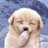 bluesskk's profile image