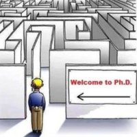 PhD Memes(@BestPhDMemer) 's Twitter Profile Photo