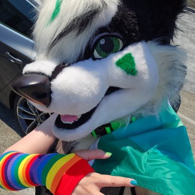 💚Hi! IM RAIDEN! 💚 Lv. 31, Gay 🏳️‍🌈
💚@MadeFurYou Suiter 💚 Often 🔞💚 Gaymurr 💚
💚TF Goo Dog 💚#Curlfriend 💚
💚He/Him 💚 Single 💚
🎮🎲💅