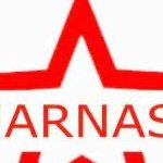 tamipova63561's profile picture. 