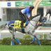 リーファの追い切り診断所🐴【元JRA調教助手】 (@rihuakeiba) Twitter profile photo リーファの追い切り診断所🐴【元JRA調教助手】 (@rihuakeiba) Twitter profile photo