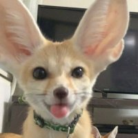 peeboy420 (@peeboy420) 's Twitter Profile Photo