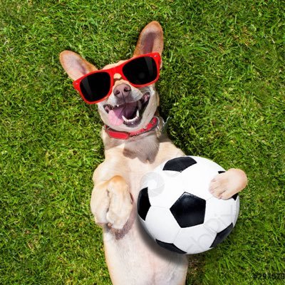 Amo el futbol, playita y río!