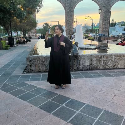 anasanurbina's profile picture. RRII @uaqmx