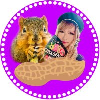 🎤🐿💞Chelsea Heart (ちぇるちゃん)(@SublimeSquirrel) 's Twitter Profile Photo