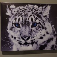 Æsahættr (@rcstonermdaf) 's Twitter Profile
