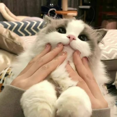 misspakilamera's profile picture. 🌈One who loves 🍤food🦀, 🏊🏻‍♀️loves 🏒sports, 
likes freedom🌼, likes 👠shopping👛