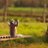 hadad_s_o's profile image