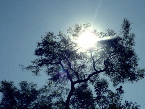 iamOliverHedge's profile picture. 