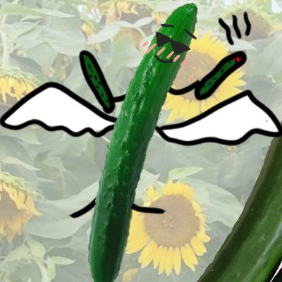 きゅうり・きゅうかんばー🥒☀さんのプロフィール画像