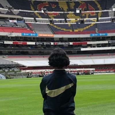 Aficionado del 18 veces campeón de México, solo tweets del @clubamerica y otros deportes