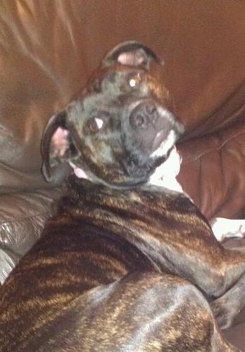 tinkerbellmcc's profile picture. hairdresser