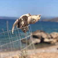 Alina Baluch (@macbaluch) 's Twitter Profile