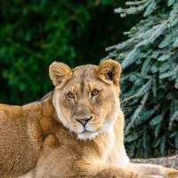 Syed Saad Hasan ❤️ Memecoin (@andyklauer1) 's Twitter Profile
