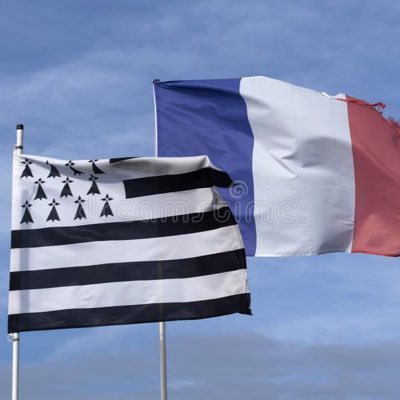 🇫🇷 #GwennhaDu Patriote. Europhobe.!!!Soutien 🇮🇱 Soutien aux FDO👮