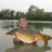 WayneD1206's profile image