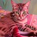 CollectiveHealing Profile picture