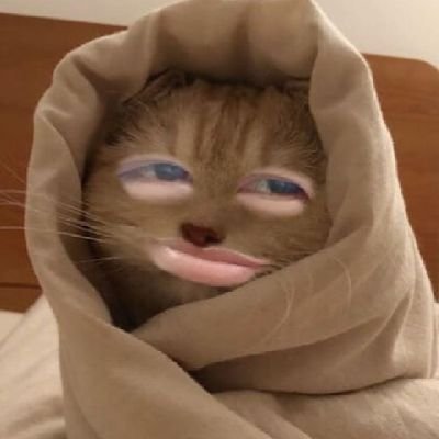 rantang_c's profile picture. 