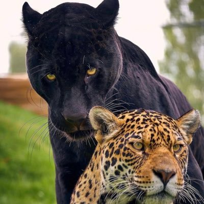 24bpg's profile picture. 🇨🇴