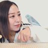 MW_kyoko_westTK's profile picture. SAYAKAです。女優 福岡出身 ➻ 怖い話 怪談師 マメルリハ インコ フィギュア(SKULLPANDA)好き 特技マキバオーの声モノマネ《出演作品》#西東京怪奇倶楽部 （箕ノ輪今日子 役）お仕事のご依頼、案件→DMにお願いします