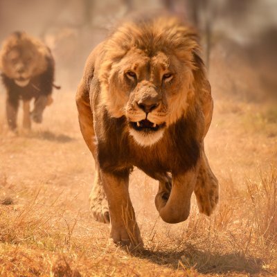 bmkraju's profile picture. 