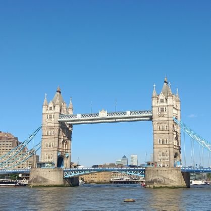 wofyd465's profile picture. 🎸