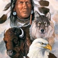 We Are Native American(@dailynatives02) 's Twitter Profile Photo